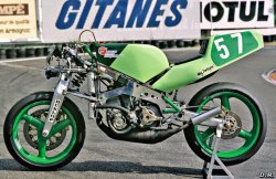 Fior-Rotax 250cc 1984